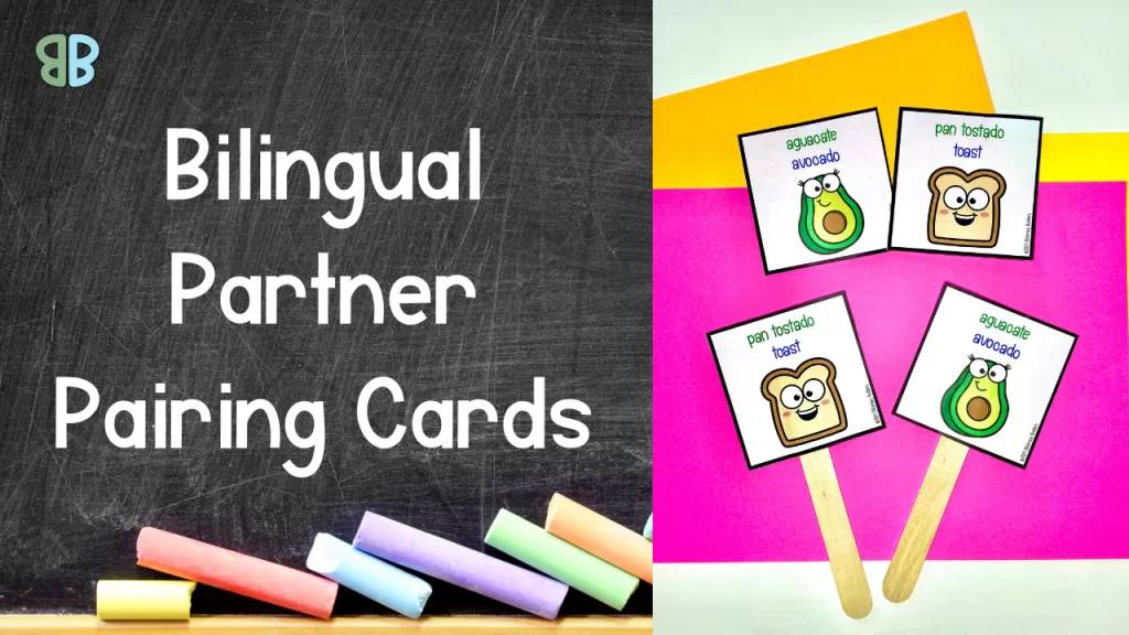 bilingual partner pairing cards